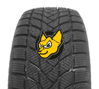 Mastersteel Winter Plus Is-w 195/45 R16 84H XL M+S