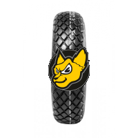 Bridgestone FD 6 -14 TT 4PR
