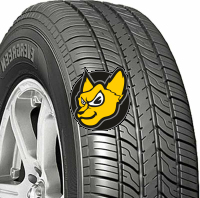 Evergreen EH22 155/65 R13 73T