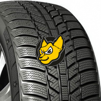 Evergreen EW62 195/65 R15 91T