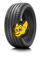 Sebring (MICHELIN) Road Performance 185/55 R16 87V XL