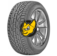 Orium (Michelin) Winter 195/65 R15 91T