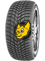 Infinity Ecozen Plus 215/45 R17 91V XL