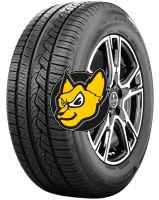 Nitto NT421 225/65 R17 106V XL