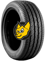Waterfall Ecodynamic 225/50 R17 98W XL