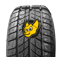 Doublestar DW09 Winterking 215/45 R17 91T XL M+S