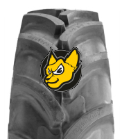 Armour R-1W (SERIE 85) 420/85 R24 TL