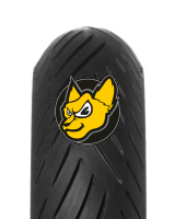 TVS Eurogrip BEE Connect 120/70 -15 56S TL