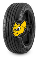 Davanti DX390 205/55 R19 97V XL