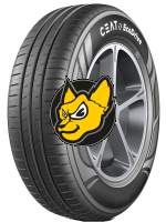 Ceat Ecodrive 165/65 R13 77H
