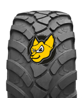 Ascenso FTR170 (I3) Steel Belted 600/50 R22.5 TL