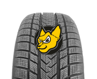 Gripmax PRO Winter (STATUS UND Suregrip) 295/25 R22 97V XL M+S