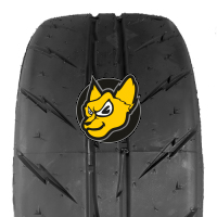 Rydanz Revimax R23 205/50 R15 89W XL Semi Slick
