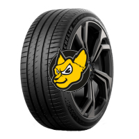 Michelin Pilot Sport EV 255/40 R21 102W XL RG (POL) Acoustic [Polestar]