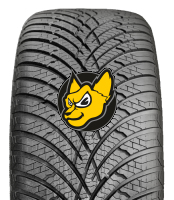 Doublestar DLA01 Maximum 225/50 R17 98V XL M+S