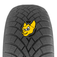 Roadx Frost 195/55 R16 87V M+S