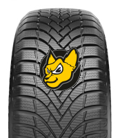 Austone Nixia Winter PRO 255/40R19 100V