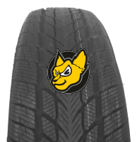 Davanti Wintoura 215/60 R16 99H XL M+S