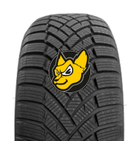 Toyo Observe EWS1 225/45 R19 96W XL M+S