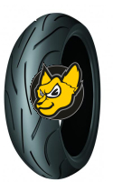 Michelin Pilot Power 2CT 190/55ZR17 (75W) TL