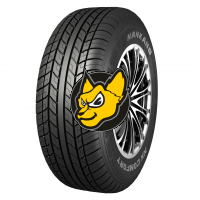 Nankang N-729 195/65 R14 89T WL
