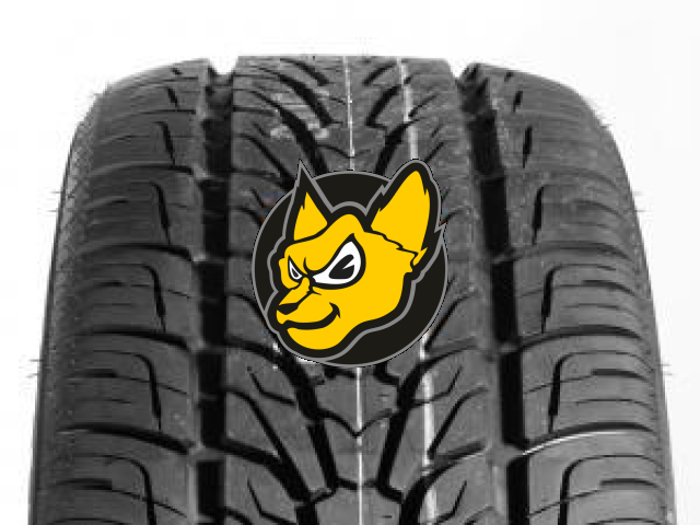 Roadstone Roadian HP 285/45 R22 114V XL