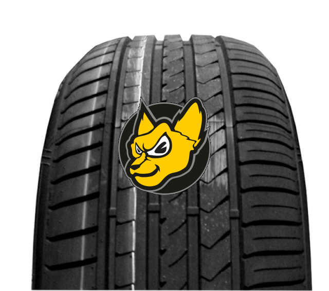 Winrun R330 225/40 ZR19 93W XL