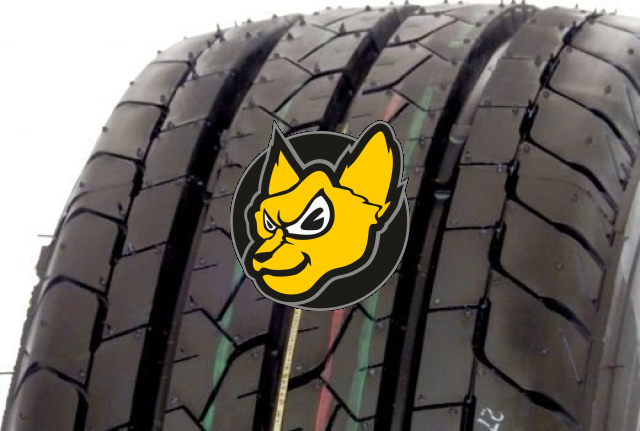 Bridgestone R660 Duravis 215/70 R15C 109/107S