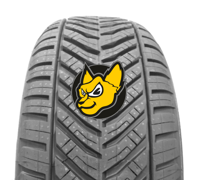 Taurus (MICHELIN) ALL Season 215/50 ZR17 95W XL Celoro�n�