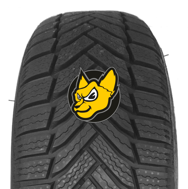 Michelin Alpin 6 195/65 R15 91T