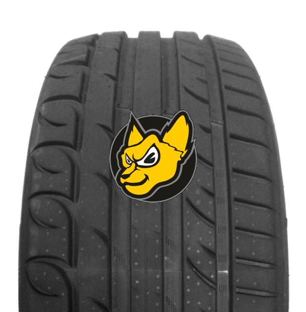 Riken Ultra High Performance 205/55 ZR17 95V XL