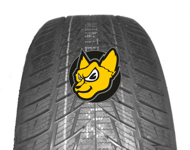 Fortuna Winter SUV 2 225/55 R18 98V