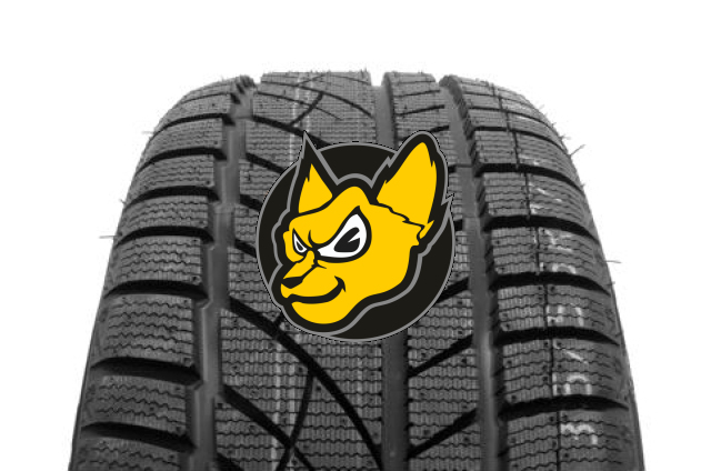 Road X RX Frost WU01 225/45 R17 91V