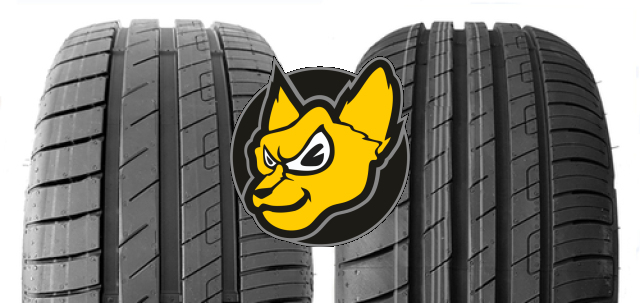 Goodyear Efficientgrip Performance 215/45 R17 91W XL FP