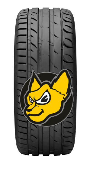Sebring (MICHELIN) Ultra High Performance 225/50 R17 98Y XL