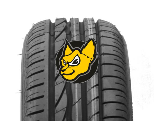 Bridgestone Turanza ER 300 225/55 R16 95W Ecopia (*) Runflat [BMW]