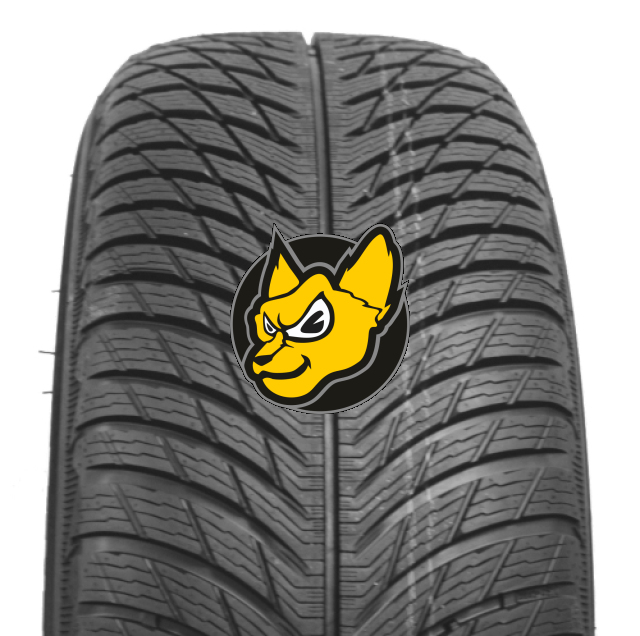 Michelin Pilot Alpin 5 SUV 255/60 R20 113V XL RG