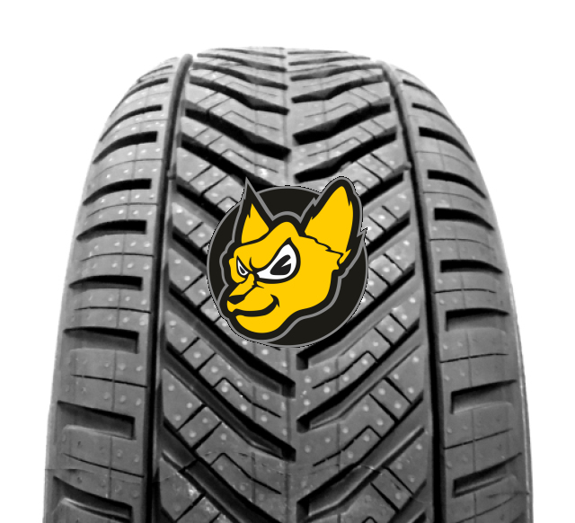 Sebring (MICHELIN) ALL Season 215/55 R16 97V XL Celoro�n� M+S