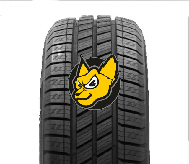 Delinte AW6 VAN 215/70 R15C 109/107S Celoron M+S