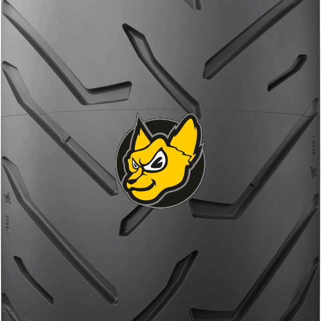 Michelin Anakee Road 90/90 -21 54V TL/TT