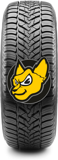 CST Medallion All Season ACP1 175/70 R 14 88T XL M+S