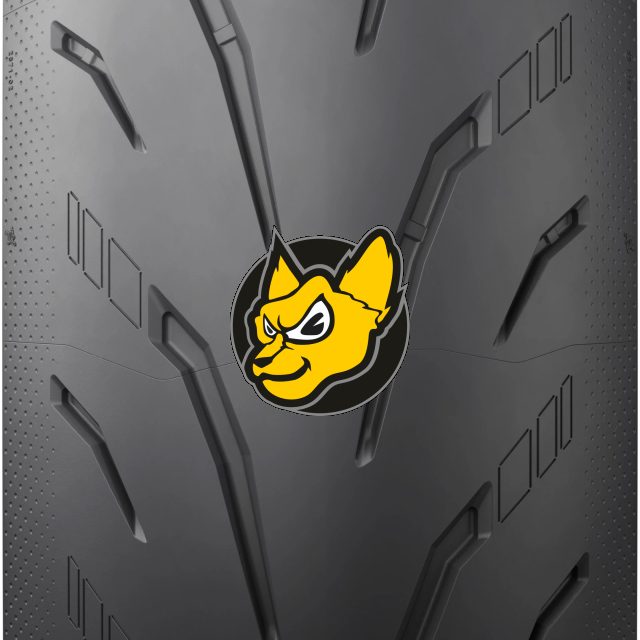 Michelin Power 6 190/55ZR17 (75W) TL
