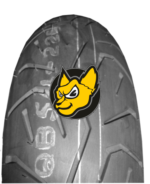 Bridgestone Exedra MAX 150/80 -15 70H TT