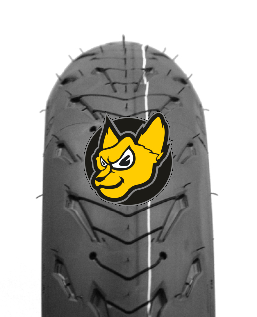 Michelin Road 5 190/50ZR17 (73W) TL