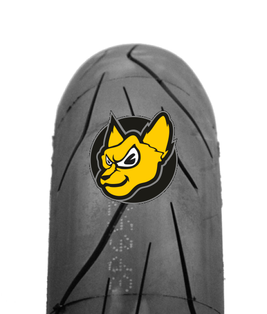 Dunlop Sportsmart TT 160/60 R17 69H TL