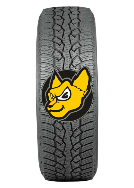 Nokian Hakkapeliitta CR4 215/65 R16C 109/107R