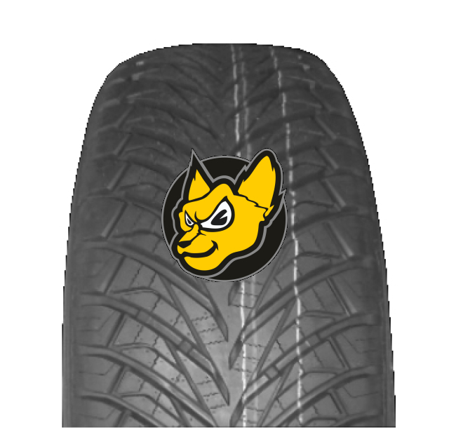 Austone SP401 205/55 R17 95W XL M+S