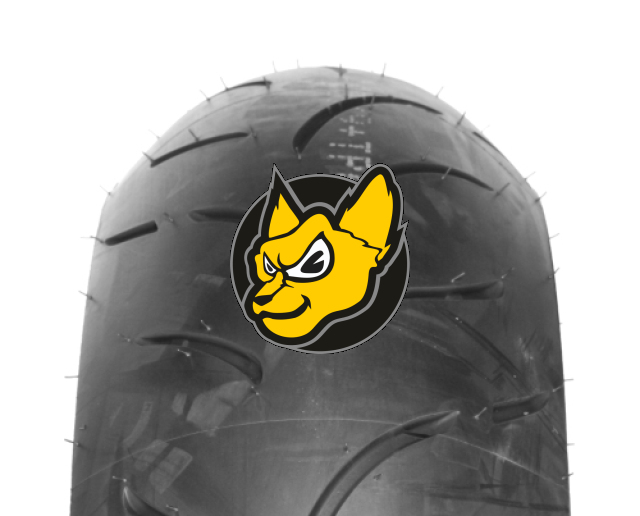 Dunlop Sportmax Qualifier 2 190/55 ZR17 75W TL Qualifier II (F)