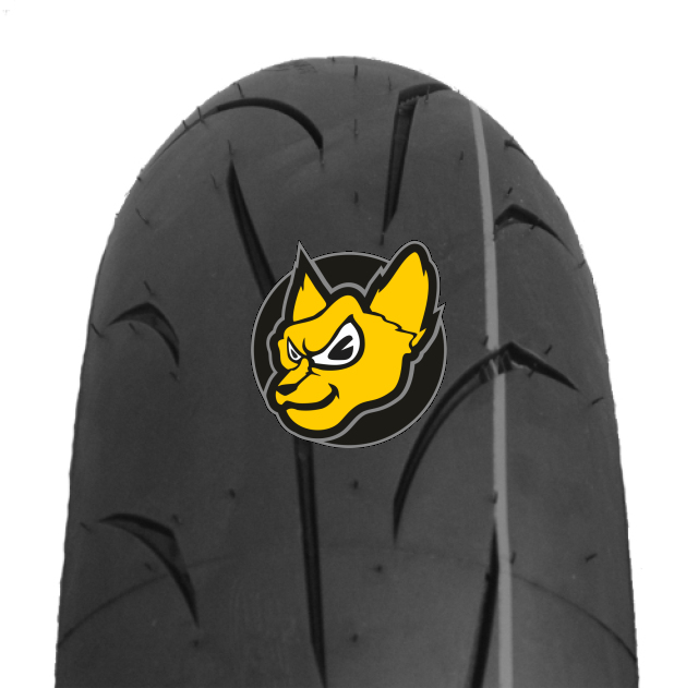Mitas Sportforce+ 180/55 R17 73W TL