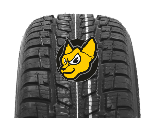 Roadstone N`priz 4S 175/70 R13 82T